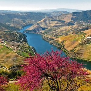 Discover Portugal's _River of Gold_ on a deluxe Duoro River cruise #duororiver