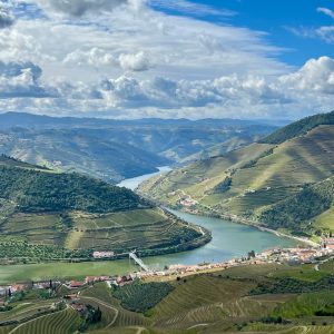 WhatsApp Image 2025-06-25 at 19.42.24